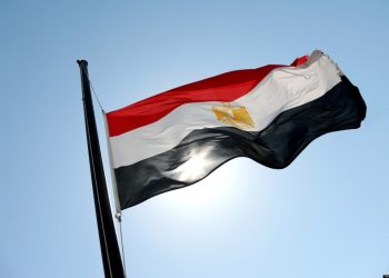 L’Égypte n’accepte pas les pressions de n’importe quelle patrie