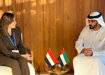 Nouveaux partenariats entre le gouvernement égyptien et le secteur privé émirati
