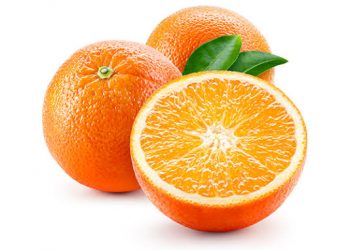 Un proverbe, une histoire