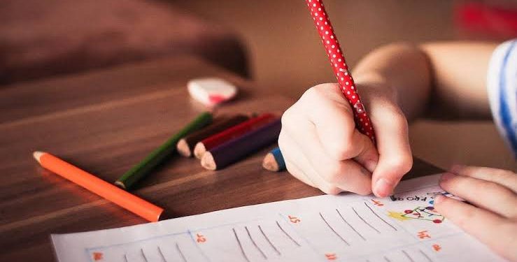 Bénéfiques ou non, les devoirs ? 1 - Le Progrès Egyptien