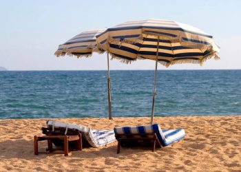 Que voudrais-je faire dans l’avenir ? 