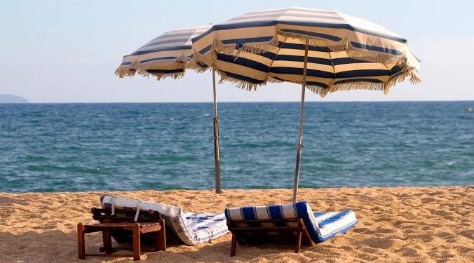 Que voudrais-je faire dans l’avenir ?  1 - Le Progrès Egyptien