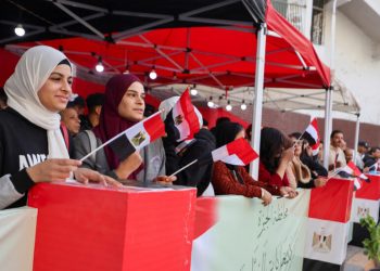 UA-COMESA : L'Egypte organise la présidentielle dans un climat sain 10 - Le Progrès Egyptien UA-COMESA : L’Egypte organise la présidentielle dans un climat sain