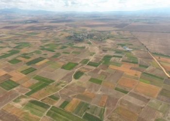 Monde arabe :75 millions d’hectares de terres agricoles