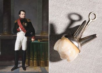 L’une des dents de Napoléon Ier aux enchères à Fontainebleau