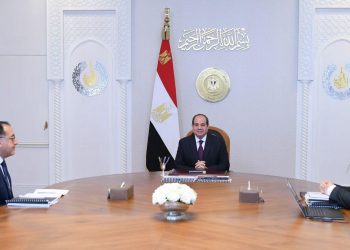 Le Président Al-Sissi examine les indices de la performance financière