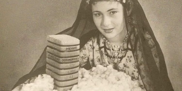 La récolte de l’or blanc, couronnement de la saison dure 2 - Le Progrès Egyptien La récolte de l’or blanc, couronnement de la saison dure 1 - Le Progrès Egyptien