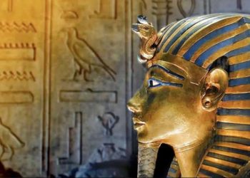 Expériences immersives pour les fans des Pharaons