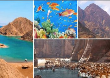 Réserves naturelles : Bond des investissements écologiques