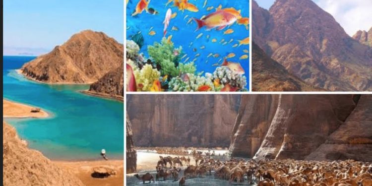 Réserves naturelles : Bond des investissements écologiques 1 - Le Progrès Egyptien