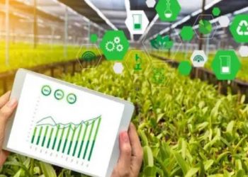 Transition vers une économie verte et durable