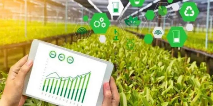 Transition vers une économie verte et durable 2 - Le Progrès Egyptien Transition vers une économie verte et durable 1 - Le Progrès Egyptien