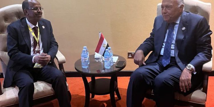 Choucri rencontre ses pairs afro-arabes en marge du MNA 2 - Le Progrès Egyptien Choucri rencontre ses pairs afro-arabes en marge du MNA 1 - Le Progrès Egyptien