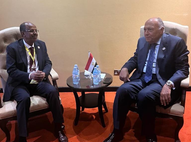 Choucri rencontre ses pairs afro-arabes en marge du MNA 2 - Le Progrès Egyptien Choucri rencontre ses pairs afro-arabes en marge du MNA 1 - Le Progrès Egyptien