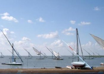 Nettoyage du lac Borollos