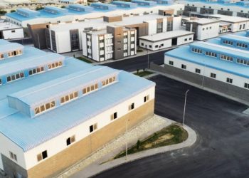 Port-Saïd : Grandes entités industrielles