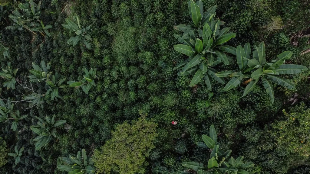 2023 : Une myriade d'images qui défilent devant nos yeux 14 - Le Progrès Egyptien 2023 : Une myriade d'images qui défilent devant nos yeux 13 - Le Progrès Egyptien
