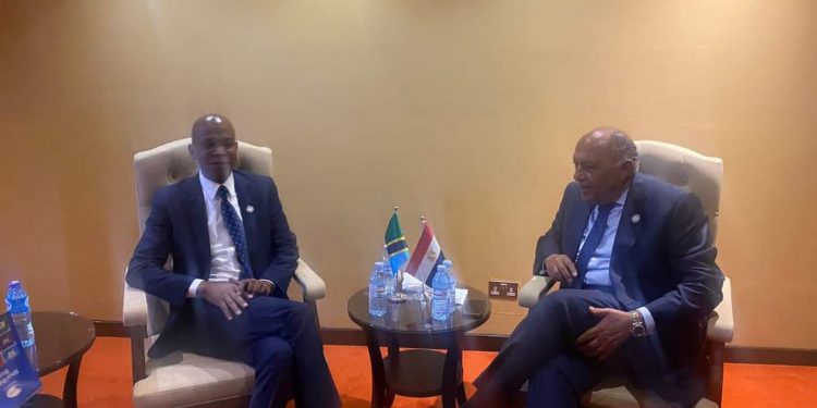 Choucri et son homologue tanzanien examinent la promotion des relations bilatérales notamment économiques 2 - Le Progrès Egyptien Choucri et son homologue tanzanien examinent la promotion des relations bilatérales notamment économiques 1 - Le Progrès Egyptien