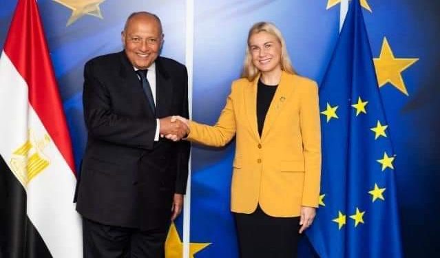 L'Egypte passe en revue ses projets d'énergies renouvelables en coopération avec des entreprises européennes 1 - Le Progrès Egyptien