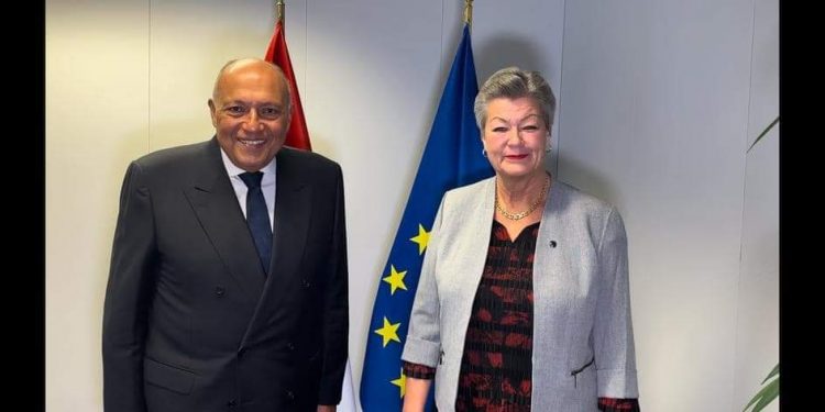 L'Egypte réitère sa position claire et constante au sujet des questions de l'immigration et des réfugiés 1 - Le Progrès Egyptien