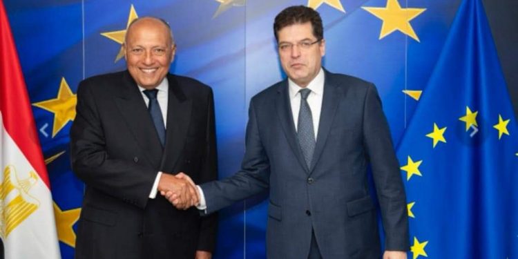 Choucri juge impératives des positions internationales fermes pour un cessez-le-feu global à Gaza 1 - Le Progrès Egyptien