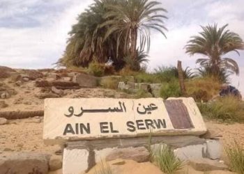 Ain El-Serw, cette source d’eau magique à Farafra !