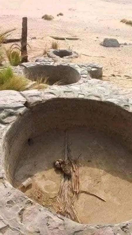 Ain El-Serw, cette source d’eau magique à Farafra ! 6 - Le Progrès Egyptien Ain El-Serw, cette source d’eau magique à Farafra ! 5 - Le Progrès Egyptien