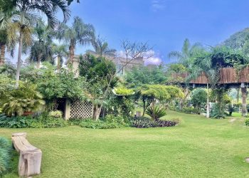 Le Jardin Botanique de Mazhar, un coin de paradis revigorant !
