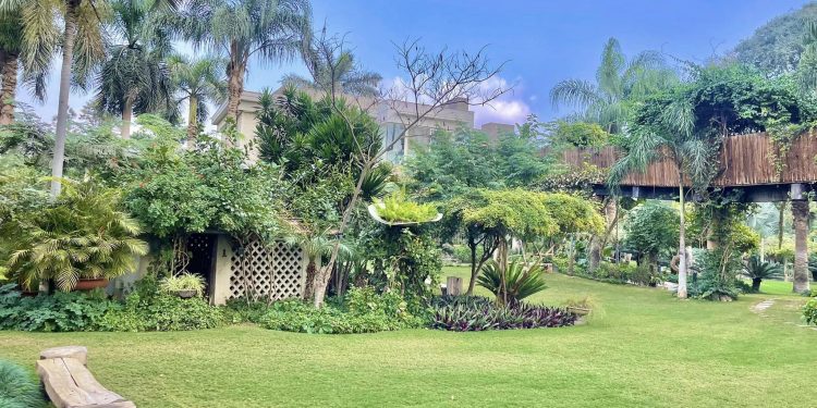 Le Jardin Botanique de Mazhar, un coin de paradis revigorant ! 1 - Le Progrès Egyptien