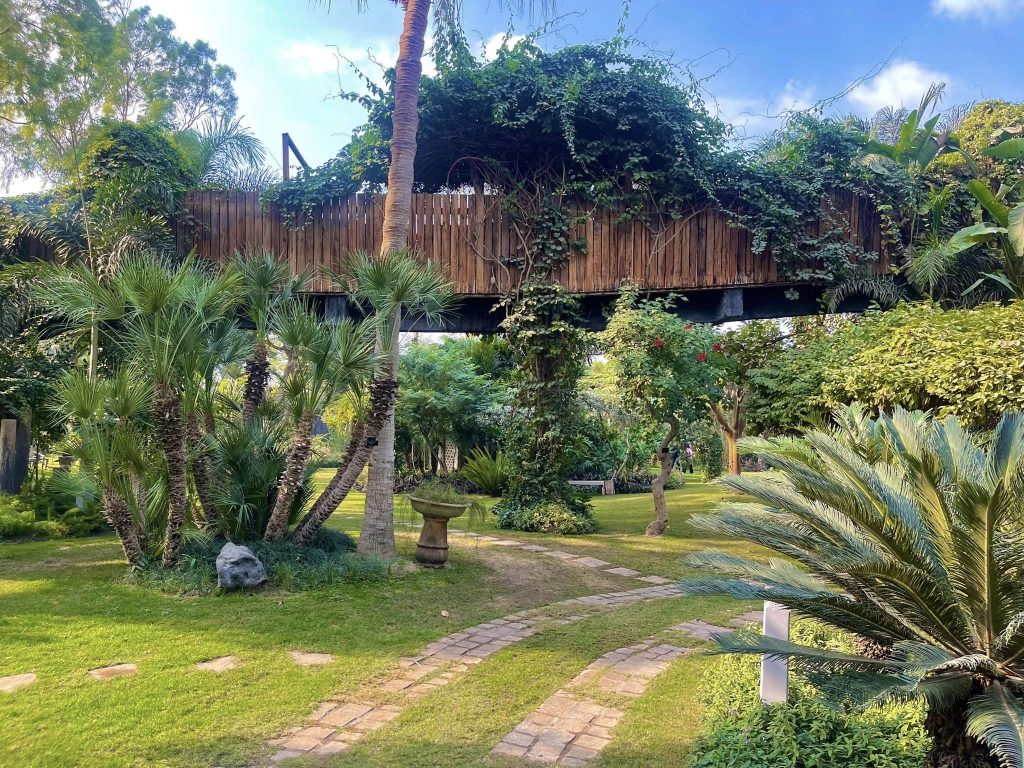 Le Jardin Botanique de Mazhar, un coin de paradis revigorant ! 10 - Le Progrès Egyptien Le Jardin Botanique de Mazhar, un coin de paradis revigorant ! 9 - Le Progrès Egyptien