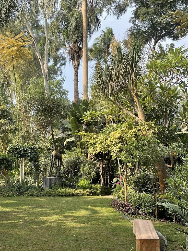 Le Jardin Botanique de Mazhar, un coin de paradis revigorant ! 8 - Le Progrès Egyptien Le Jardin Botanique de Mazhar, un coin de paradis revigorant ! 7 - Le Progrès Egyptien