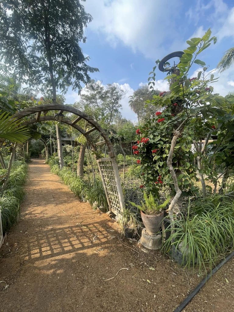 Le Jardin Botanique de Mazhar, un coin de paradis revigorant ! 4 - Le Progrès Egyptien Le Jardin Botanique de Mazhar, un coin de paradis revigorant ! 3 - Le Progrès Egyptien