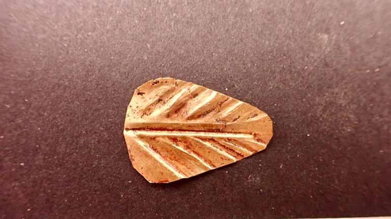 Minya : Découverte des tombeaux de l'ère ptolémaïque et romaine à Al-Bahnassa 3 - Le Progrès Egyptien