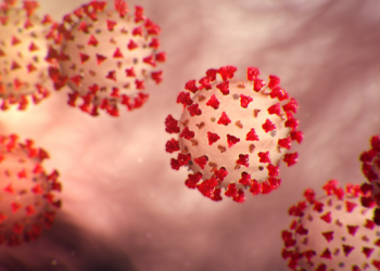 Covid-19 : Démenti de l’émergence d’un nouveau variant en Egypte