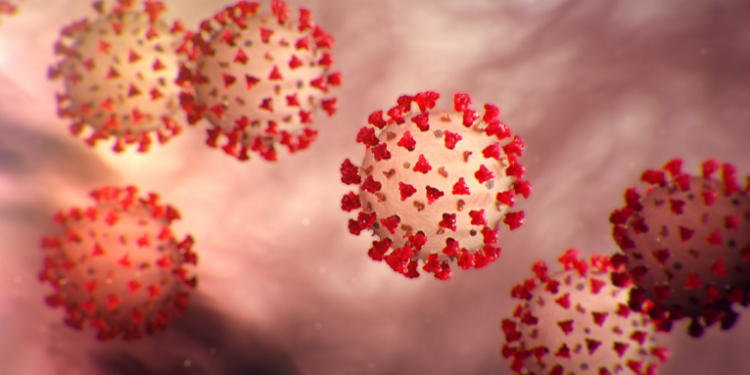 Covid-19 : Démenti de l'émergence d'un nouveau variant en Egypte 2 - Le Progrès Egyptien Covid-19 : Démenti de l'émergence d'un nouveau variant en Egypte 1 - Le Progrès Egyptien