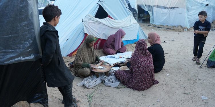 OMS: Propagation majeure de maladies infectieuses à Gaza 1 - Le Progrès Egyptien