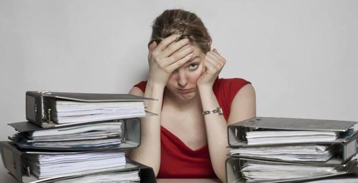 Étudiants : Comment concilier les fêtes de début d’année et les examens ? 1 - Le Progrès Egyptien