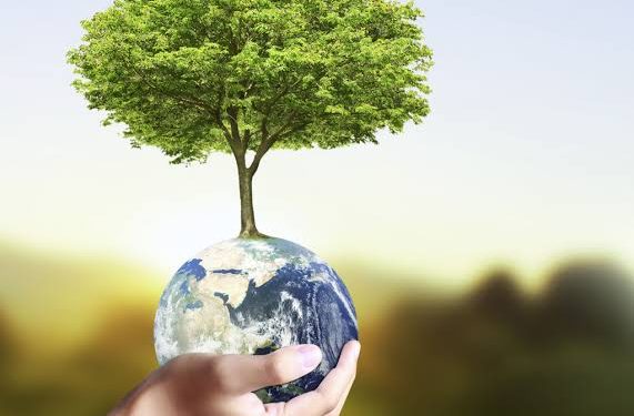 Protéger l’environnement 2 - Le Progrès Egyptien Protéger l’environnement 1 - Le Progrès Egyptien