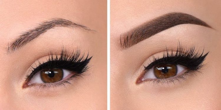 Pour des sourcils plus fournis 2 - Le Progrès Egyptien Pour des sourcils plus fournis 1 - Le Progrès Egyptien