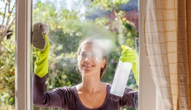 Faire le ménage peut-il sauver des vies ? 1 - Le Progrès Egyptien