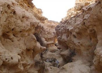 Wadi Degla : Mieux exploiter la réserve naturelle