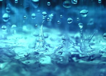 Les membres de ma communauté sont à l’image de l’eau de pluie