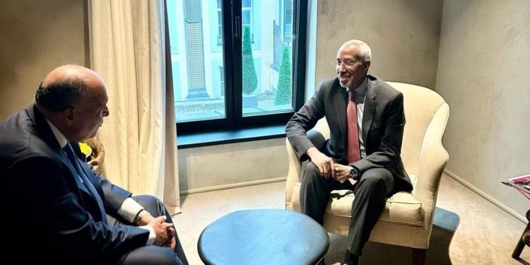 Choucri met en garde contre toute invasion israélienne de Rafah et ses répercussions extrêmement négatives 1 - Le Progrès Egyptien