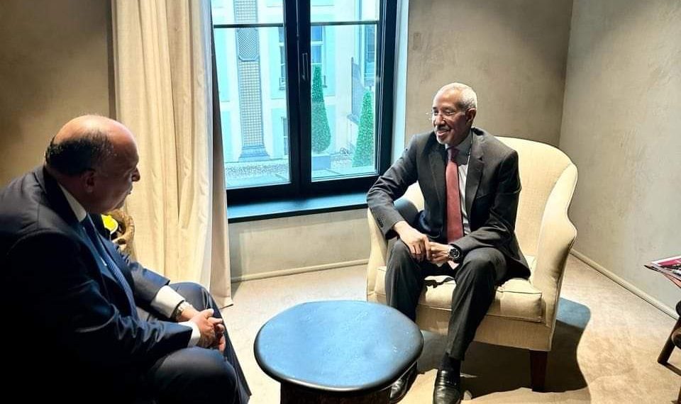 Choucri met en garde contre toute invasion israélienne de Rafah et ses répercussions extrêmement négatives 1 - Le Progrès Egyptien