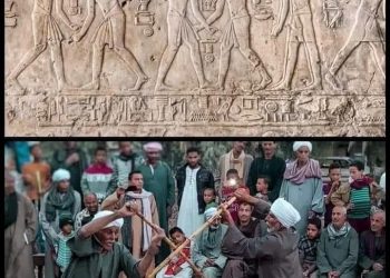 La lutte au bâton: L’art des valeurs de la Haute Egypte