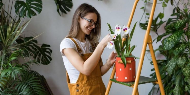 Le bonheur passe par les plantes 2 - Le Progrès Egyptien Le bonheur passe par les plantes 1 - Le Progrès Egyptien