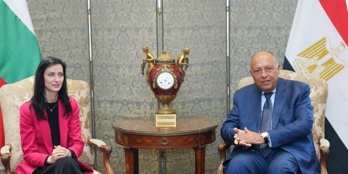 Choucri : Toute augmentation de l'étendue des opérations militaires à Gaza aura des effets désastreux 2 - Le Progrès Egyptien Choucri : Toute augmentation de l'étendue des opérations militaires à Gaza aura des effets désastreux 1 - Le Progrès Egyptien