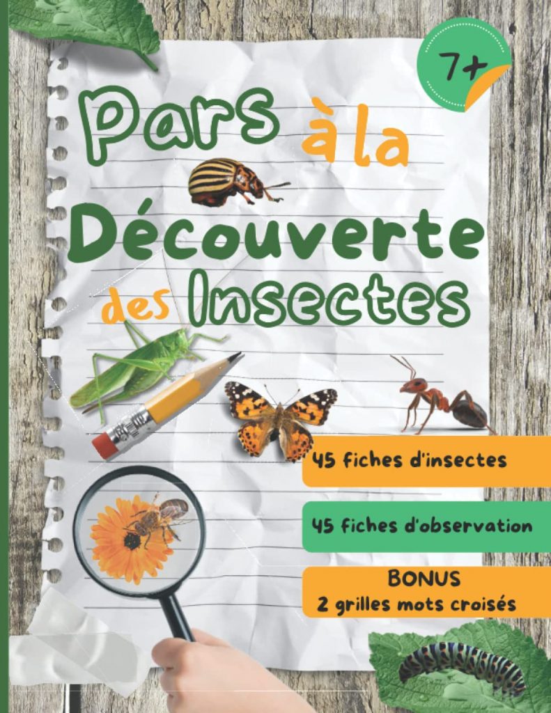 Des livres qui ouvrent les portes d’un univers minuscule 16 - Le Progrès Egyptien Des livres qui ouvrent les portes d’un univers minuscule 15 - Le Progrès Egyptien