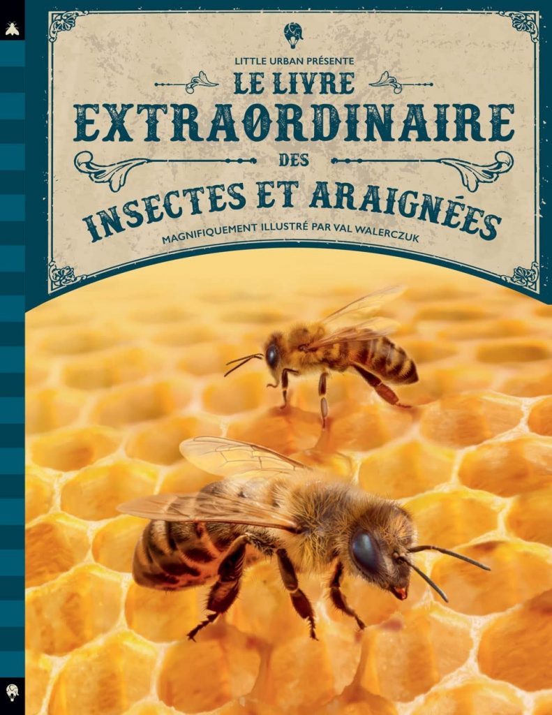 Des livres qui ouvrent les portes d’un univers minuscule 4 - Le Progrès Egyptien Des livres qui ouvrent les portes d’un univers minuscule 3 - Le Progrès Egyptien