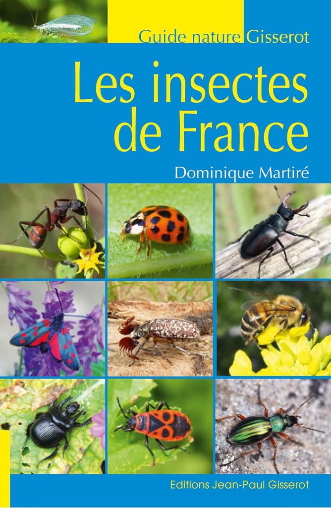 Des livres qui ouvrent les portes d’un univers minuscule 14 - Le Progrès Egyptien Des livres qui ouvrent les portes d’un univers minuscule 13 - Le Progrès Egyptien